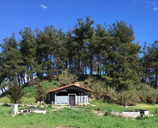 Μακεδονικός τύμβος Α θέση Τούμπες Κορινός