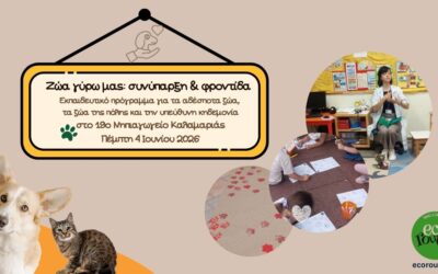 «Ζώα γύρω μας: συνύπαρξη & φροντίδα»: Εκπαιδευτικό πρόγραμμα για τα αδέσποτα ζώα για το 19ο Νηπιαγωγείο Καλαμαριάς